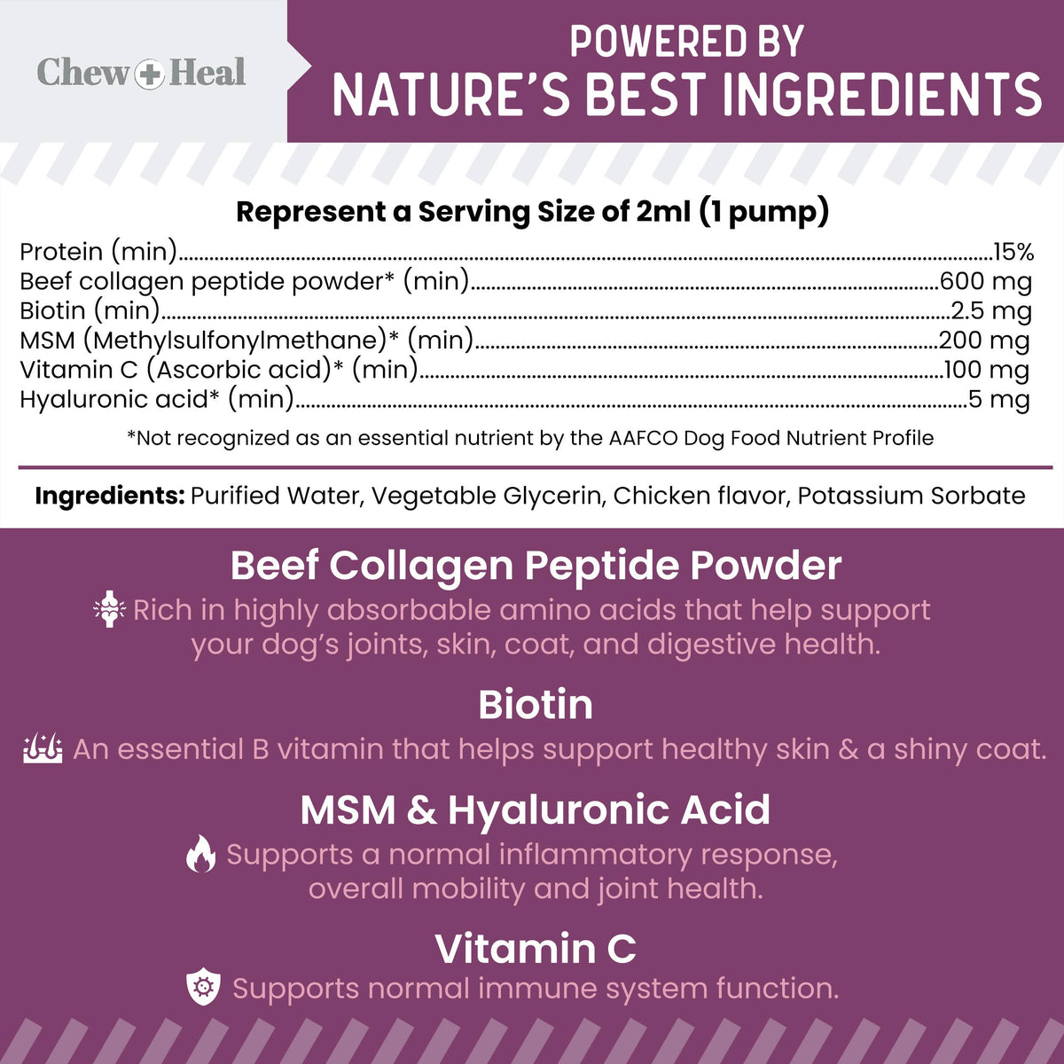 Advanced Collagen Complex Supplement with Pump for Dogs 4oz