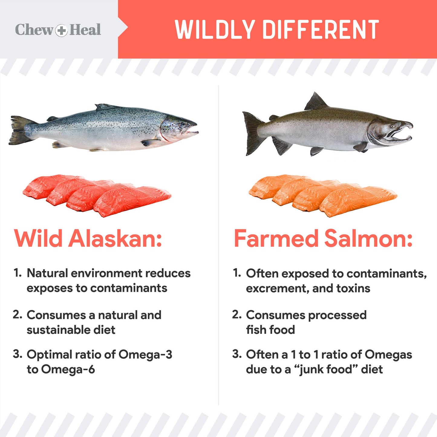 MSC-Certified Sustainable Pure Wild Alaskan Salmon Oil: Large